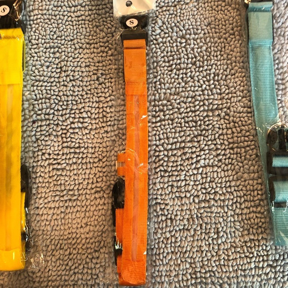 Dog collar light up orange med dog